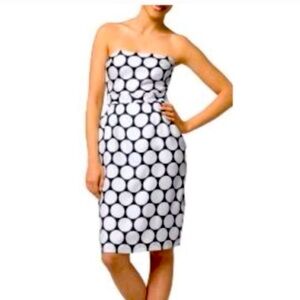 Banana Republic Silk Navy/White Dress size 6